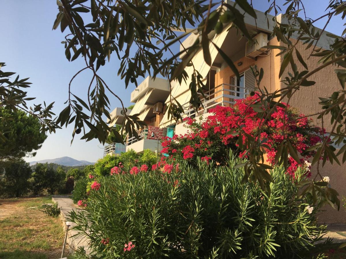 Galini Studios And Apartments Λάσση Εξωτερικό φωτογραφία