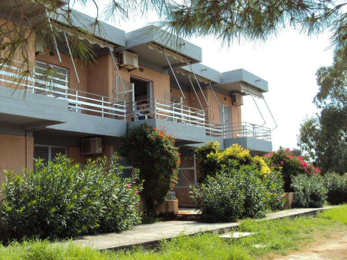 Galini Studios And Apartments Λάσση Εξωτερικό φωτογραφία