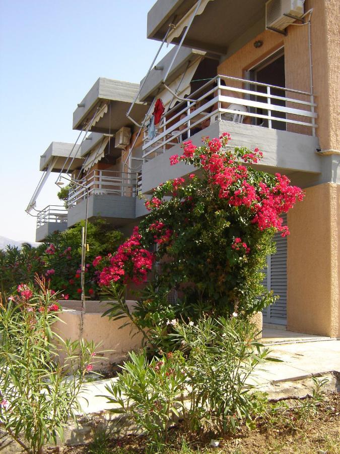 Galini Studios And Apartments Λάσση Εξωτερικό φωτογραφία